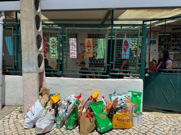 Ação solidária no Parque dos Bichos — foto 4