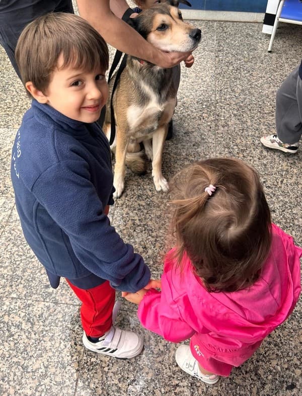 Os animais foram à escola — foto 2