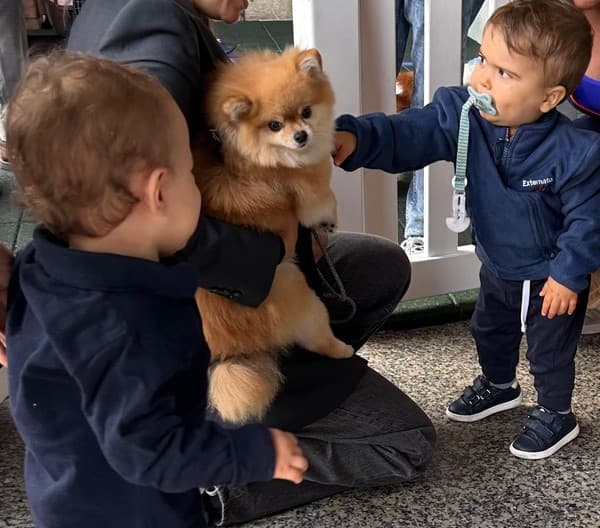 Os animais foram à escola — foto 3