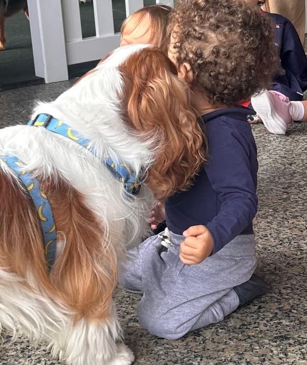 Os animais foram à escola — foto 4