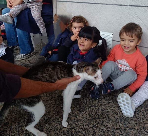 Os animais foram à escola — foto 5