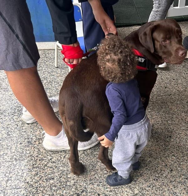 Os animais foram à escola — foto 7