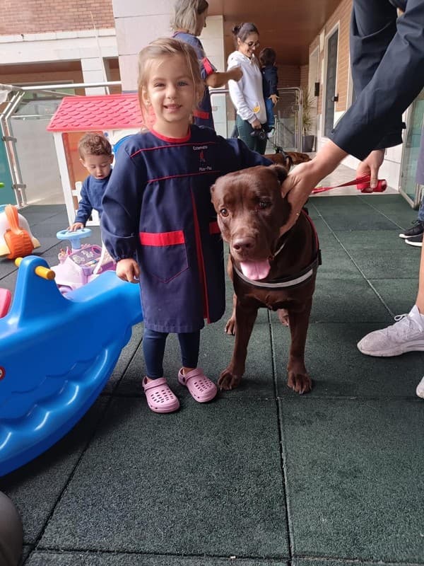 Os animais foram à escola — foto 10