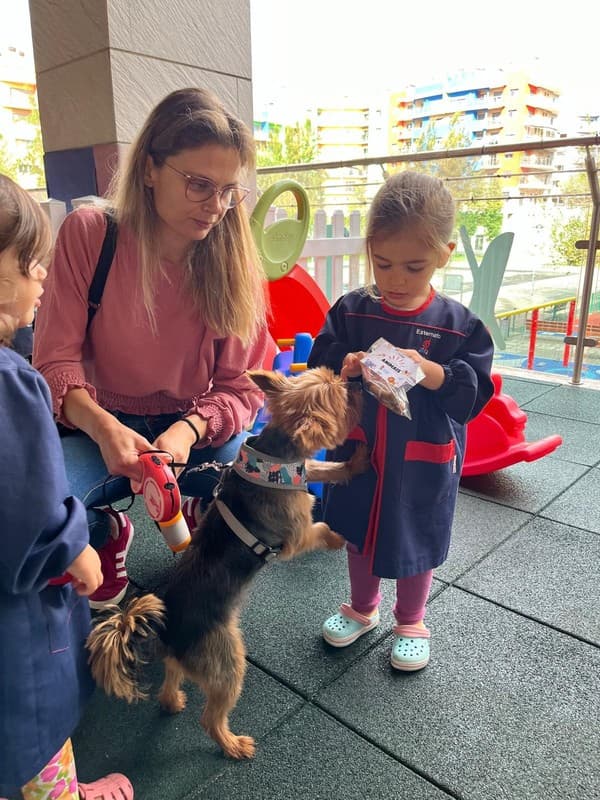 Os animais foram à escola — foto 11