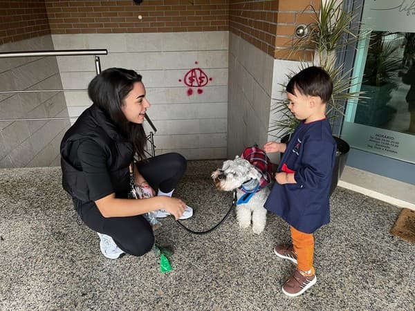 Os animais foram à escola — foto 12