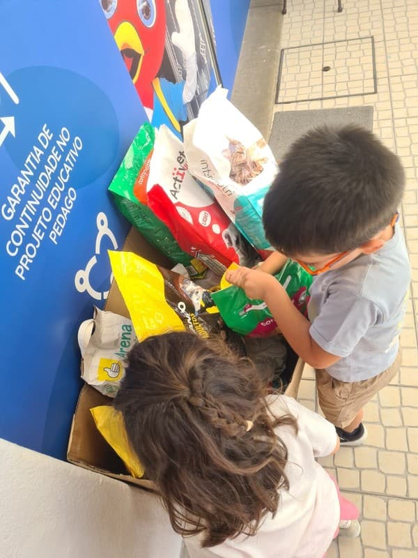 Externato Pica-Pau entrega bens angariados à Associação Chão dos Bichos — foto 1