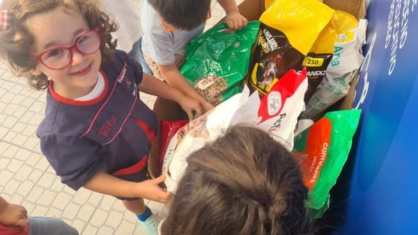 Externato Pica-Pau entrega bens angariados à Associação Chão dos Bichos — foto 2