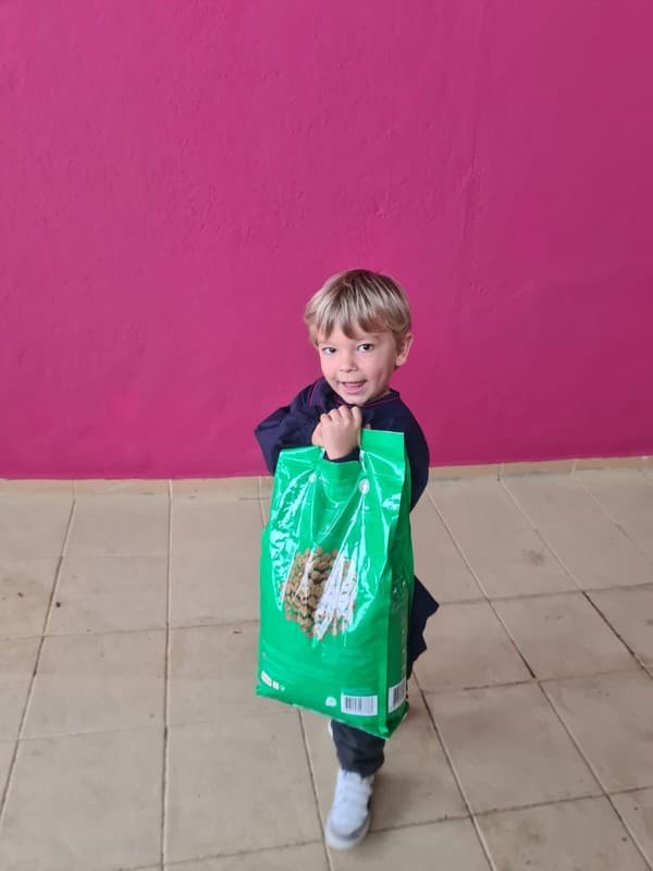 Externato Pica-Pau entrega bens angariados à Associação Chão dos Bichos — foto 3