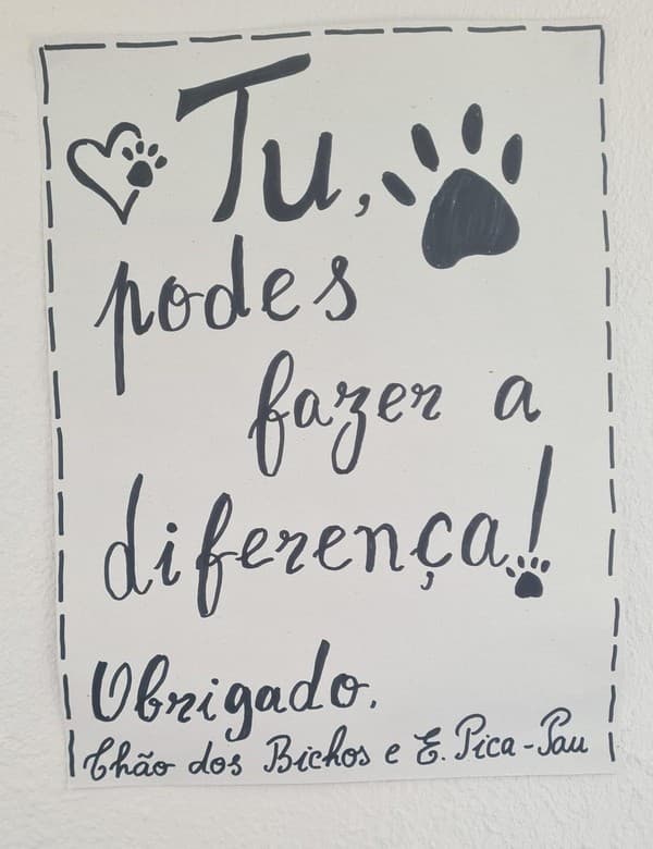 Externato Pica-Pau entrega bens angariados à Associação Chão dos Bichos — foto 4
