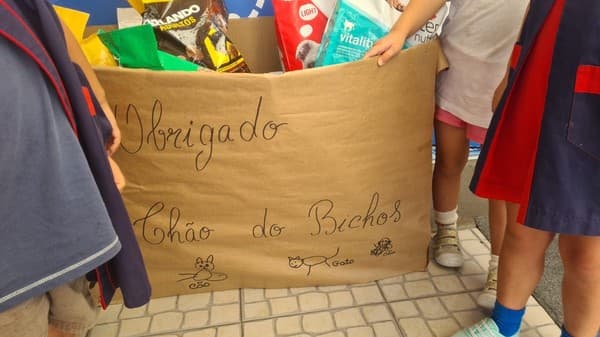 Externato Pica-Pau entrega bens angariados à Associação Chão dos Bichos — foto 5