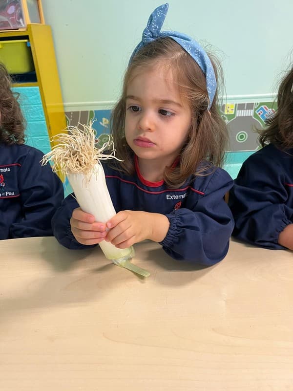 Externato Pica-Pau assinala Dia Mundial da Alimentação — foto 5