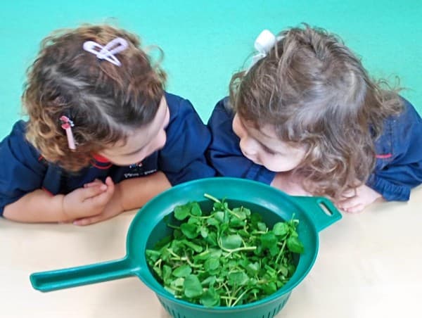 Externato Pica-Pau assinala Dia Mundial da Alimentação — foto 10