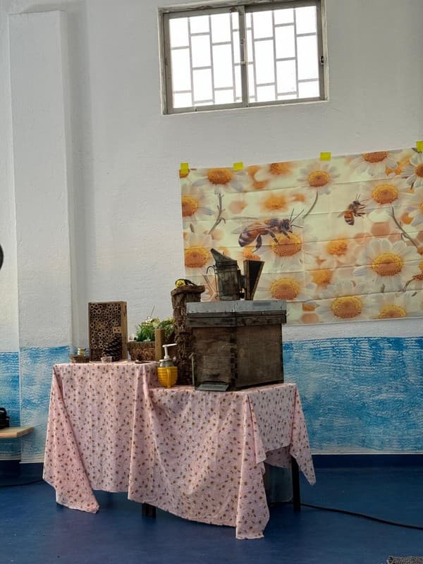 Externato Pica-Pau recebe sessão educativa "Polinizadoras" — foto 3