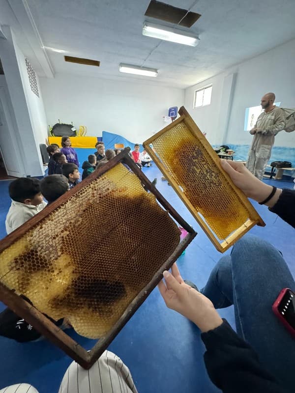 Externato Pica-Pau recebe sessão educativa "Polinizadoras" — foto 6
