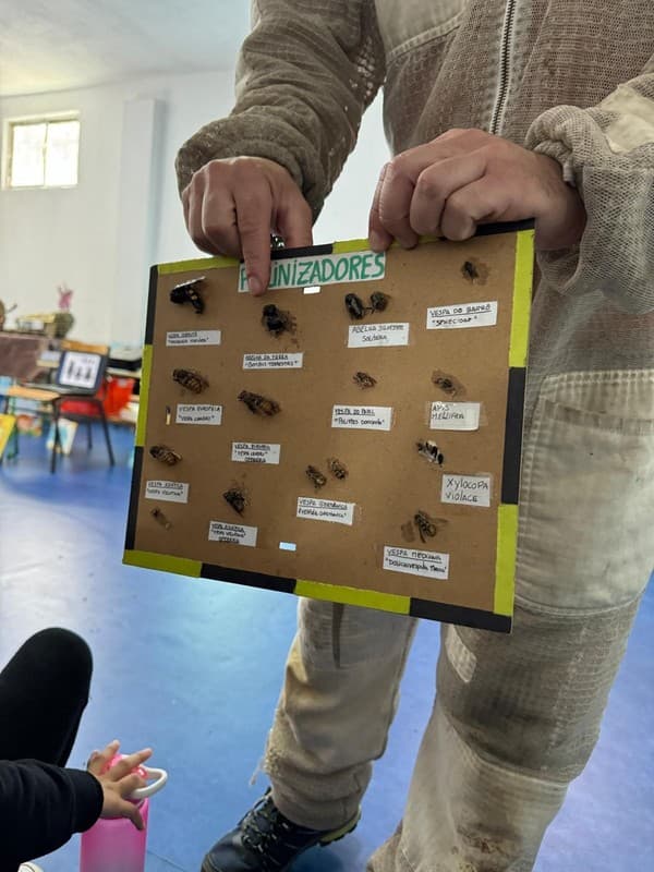 Externato Pica-Pau recebe sessão educativa "Polinizadoras" — foto 7
