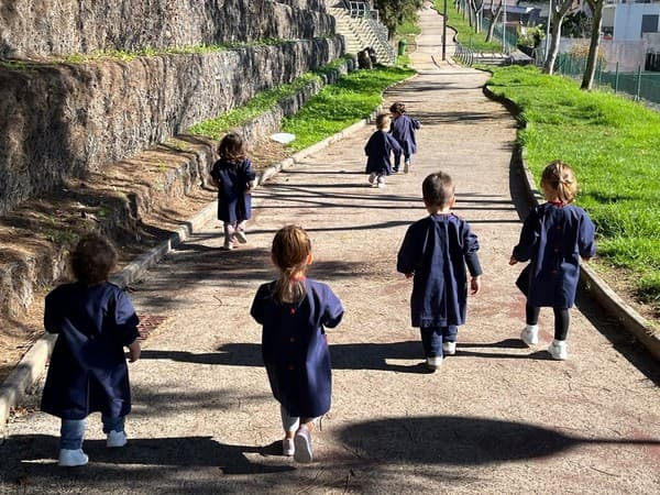 Castanhas e bom tempo para celebrar o São Martinho — foto 1