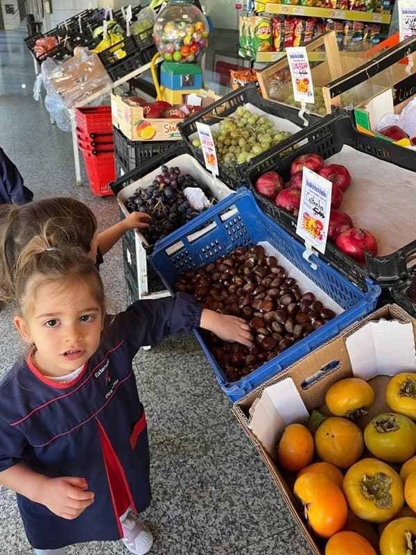 Castanhas e bom tempo para celebrar o São Martinho — foto 2