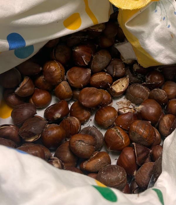Castanhas e bom tempo para celebrar o São Martinho — foto 9