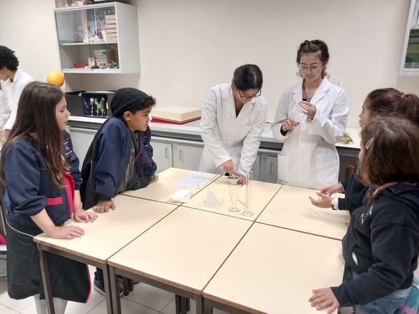 Alunos do 4.º ano visitam a Semana da Ciência — foto 7