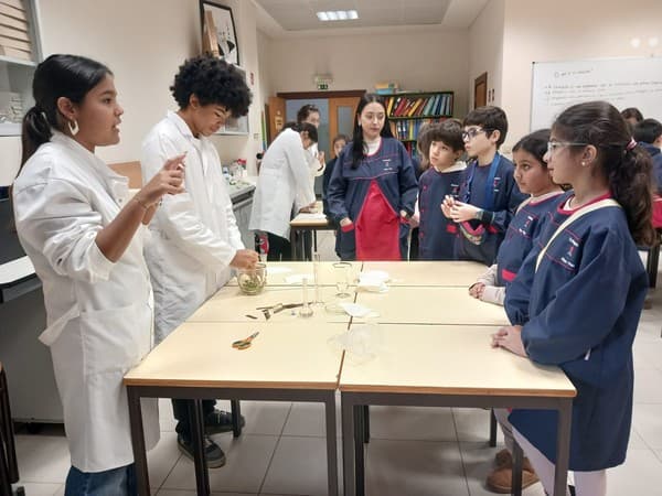 Alunos do 4.º ano visitam a Semana da Ciência — foto 9
