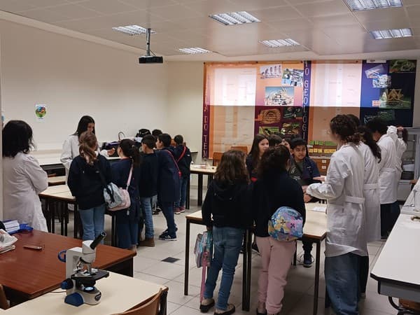 Alunos do 4.º ano visitam a Semana da Ciência — foto 10