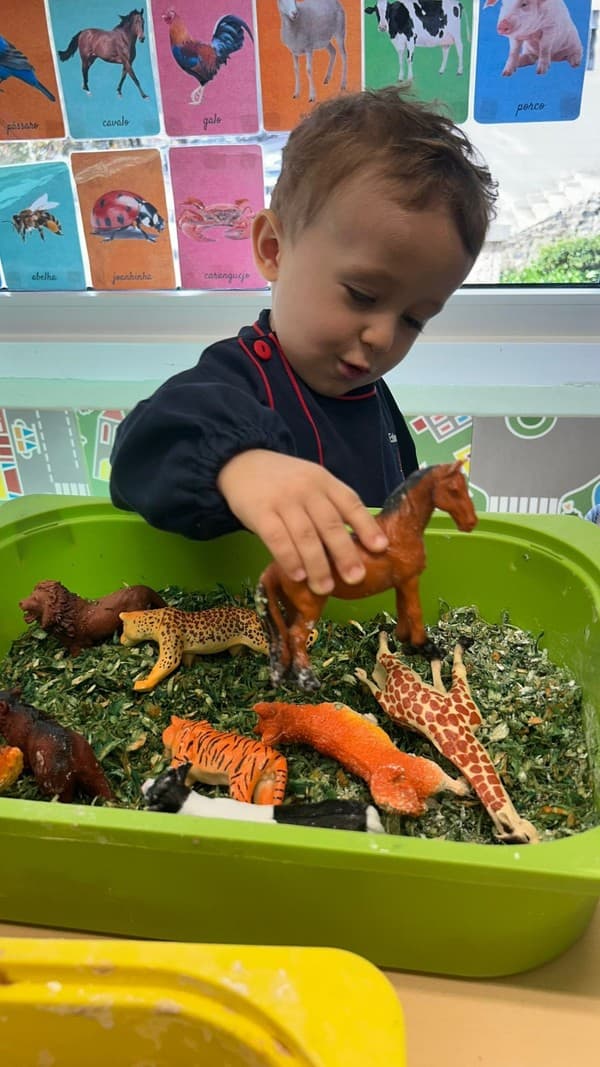 Leõezinhos vivem uma manhã sensorial cheia de descobertas — foto 5
