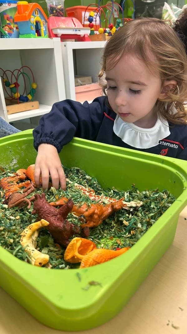 Leõezinhos vivem uma manhã sensorial cheia de descobertas — foto 9