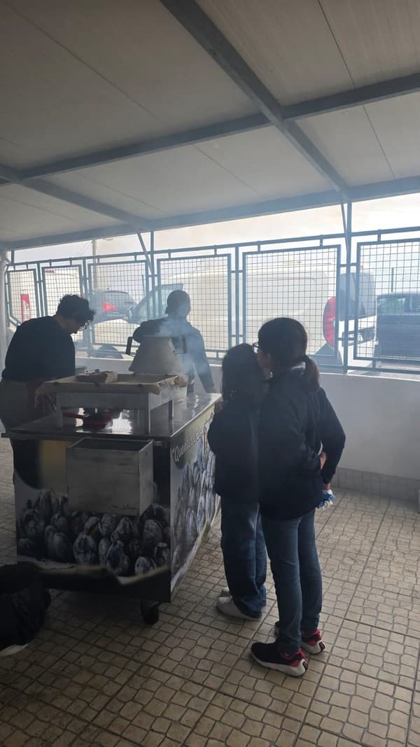 Magusto no Externato Pica da Serra da Amoreira — foto 5