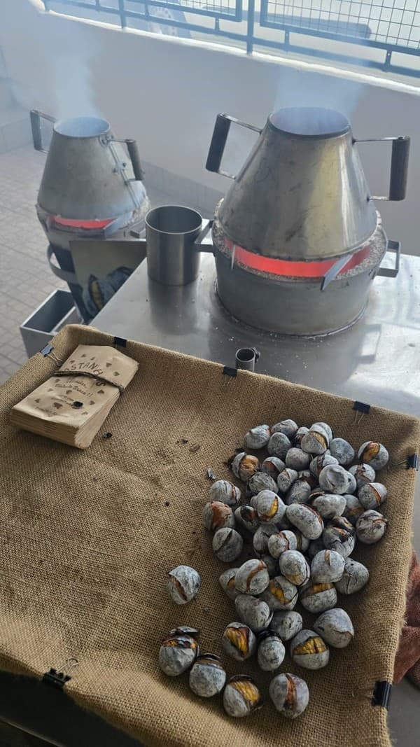 Magusto no Externato Pica da Serra da Amoreira — foto 10