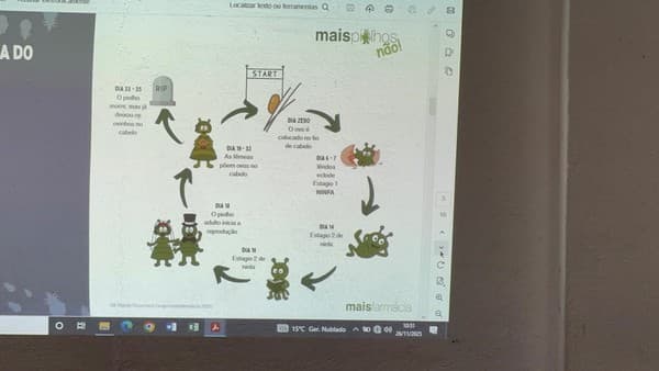 Externato Pica-Pau recebeu ação “A Escola e a Pediculose” da Farmácia Sena Belo — foto 11