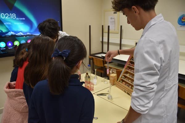 Alunos do 4.º ano são Pequenos Cientistas durante uma manhã — foto 1