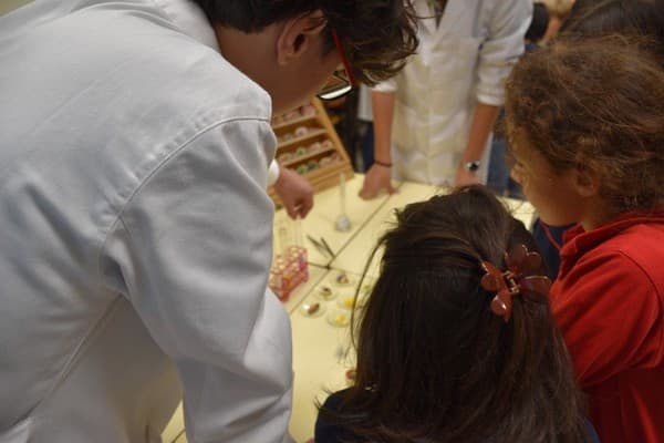 Alunos do 4.º ano são Pequenos Cientistas durante uma manhã — foto 2