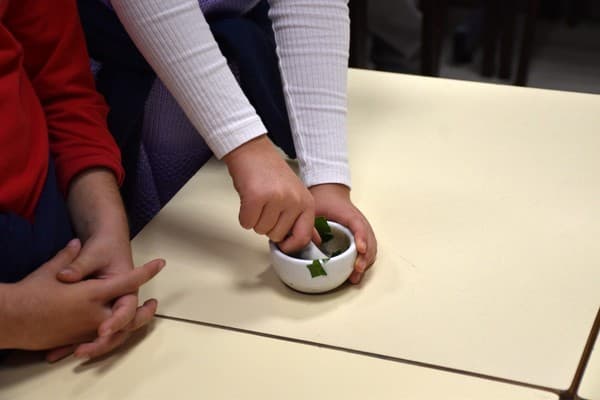 Alunos do 4.º ano são Pequenos Cientistas durante uma manhã — foto 3