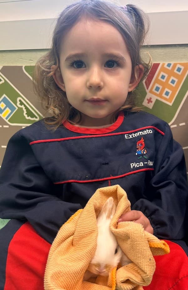 Uma visita muito especial na sala dos Leõezinhos — foto 6