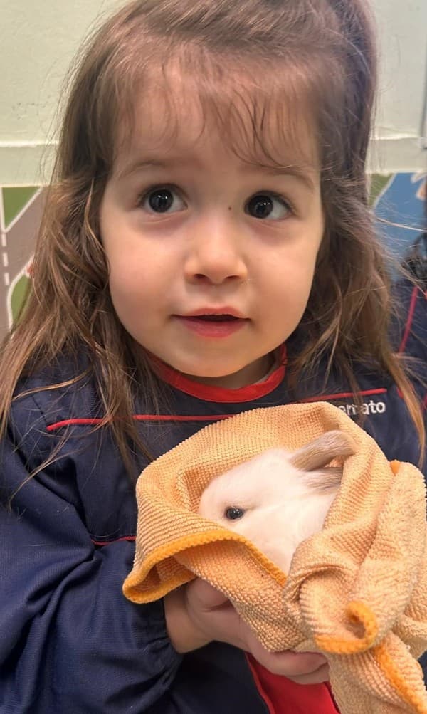 Uma visita muito especial na sala dos Leõezinhos — foto 7