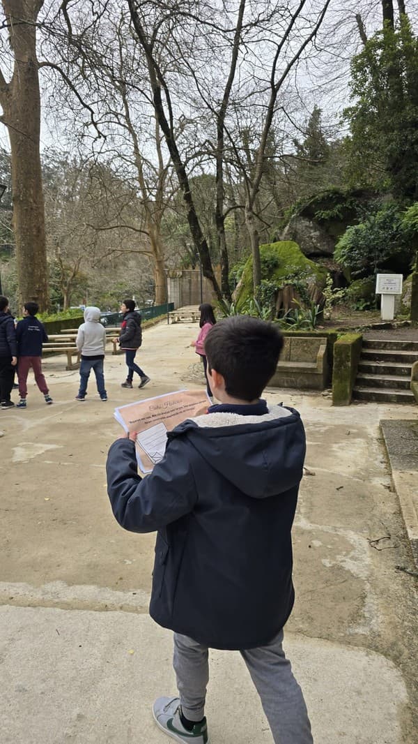Visita de Estudo à Serra de Sintra — foto 6