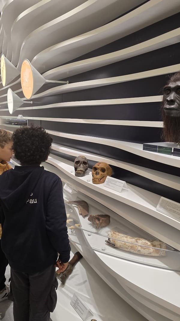 Visita de Estudo à Serra de Sintra — foto 8