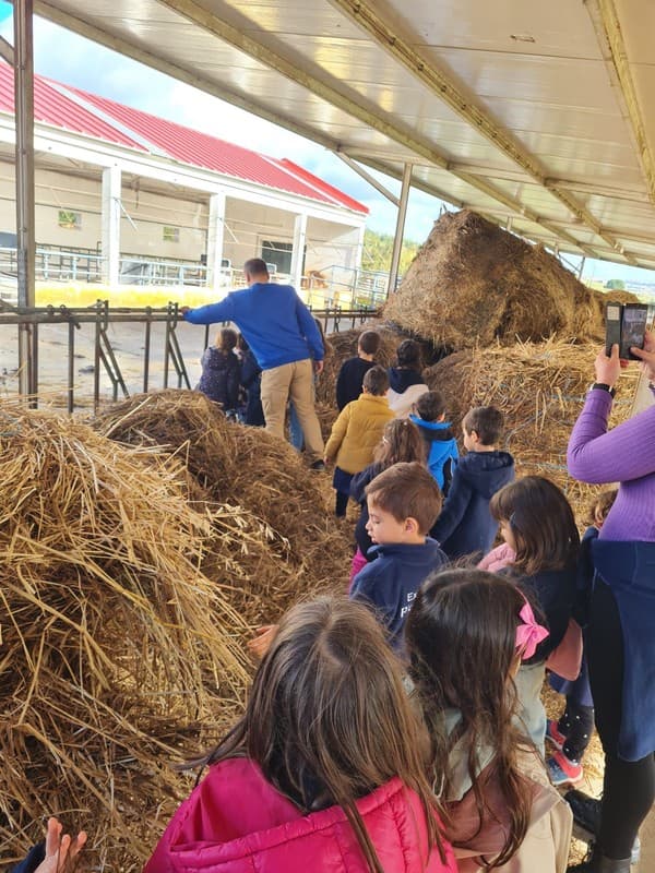 Colónia de Férias de Natal levou alunos até à Quintinha da Paiã — foto 8