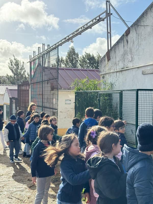 Colónia de Férias de Natal levou alunos até à Quintinha da Paiã — foto 9