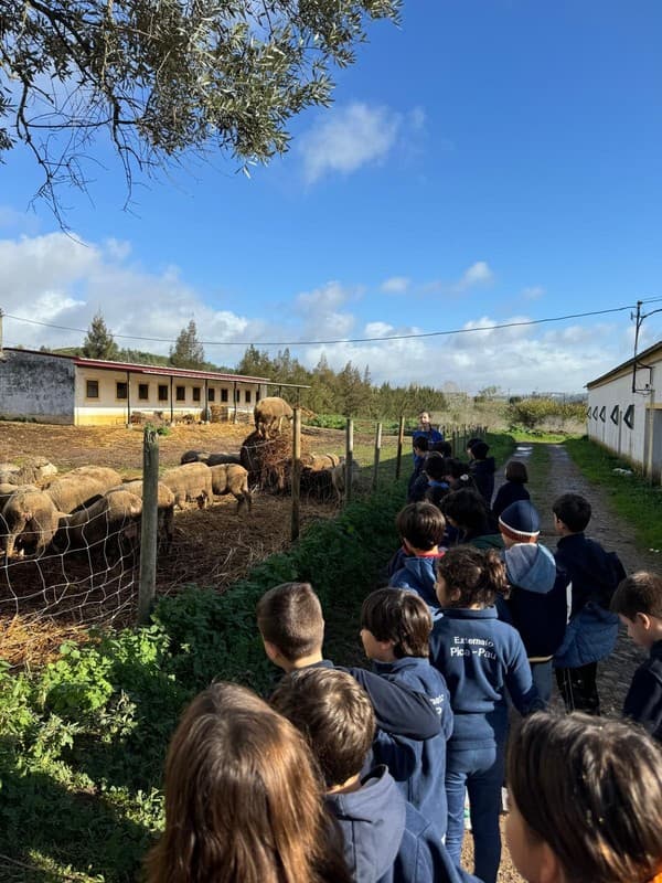 Colónia de Férias de Natal levou alunos até à Quintinha da Paiã — foto 6