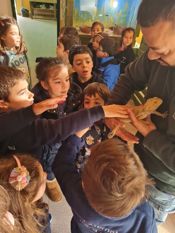 Colónia de Férias de Natal levou alunos até à Quintinha da Paiã — foto 7