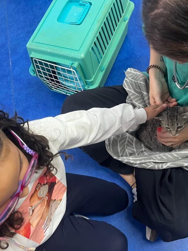 Dia do Animal no Externato Pica-Pau: Cuidar, Proteger e Ajudar! — foto 3
