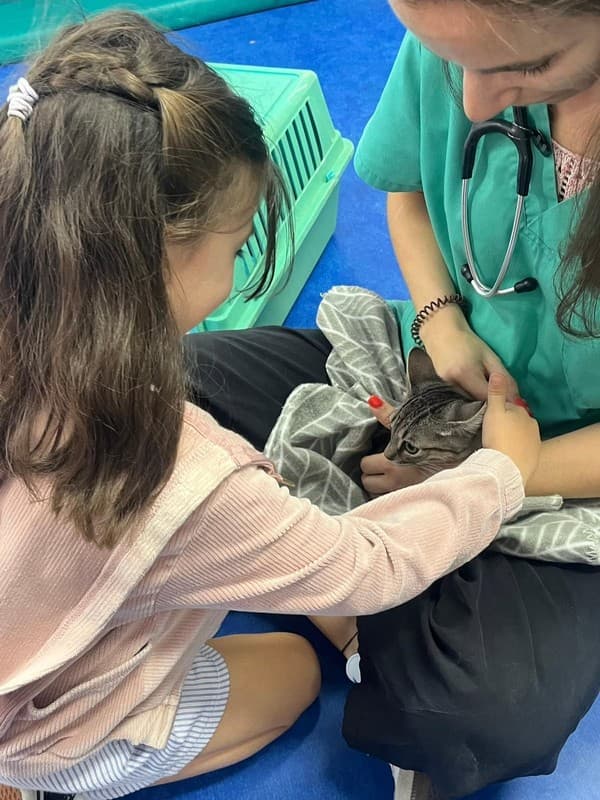 Dia do Animal no Externato Pica-Pau: Cuidar, Proteger e Ajudar! — foto 4