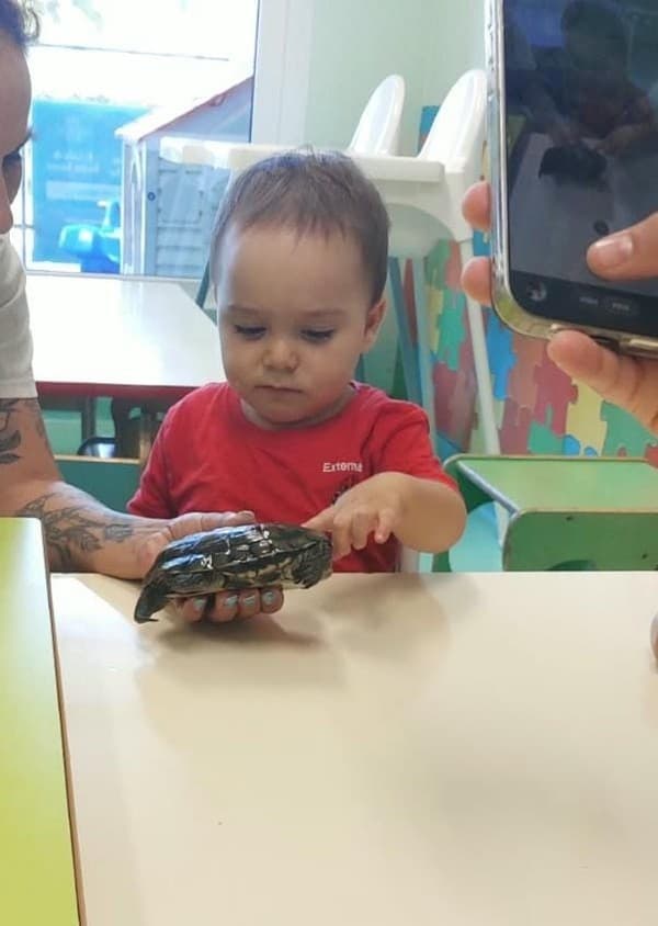 Externato Pica-Pau entrega bens recolhidos ao Parque dos Bichos  — foto 3