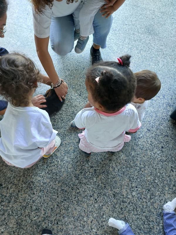 Externato Pica-Pau entrega bens recolhidos ao Parque dos Bichos  — foto 4
