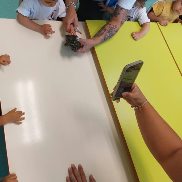 Externato Pica-Pau entrega bens recolhidos ao Parque dos Bichos  — foto 5
