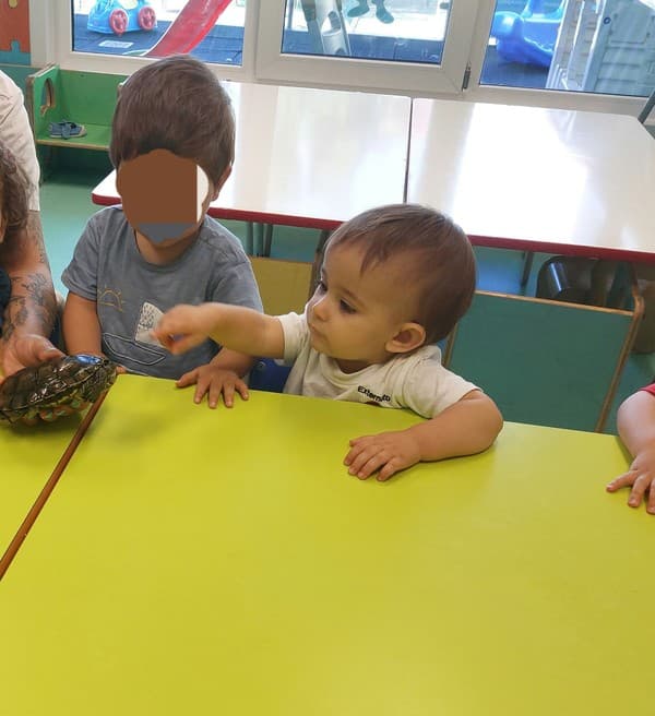 Externato Pica-Pau entrega bens recolhidos ao Parque dos Bichos  — foto 6