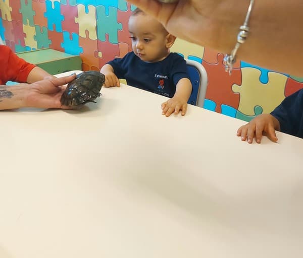 Externato Pica-Pau entrega bens recolhidos ao Parque dos Bichos  — foto 7