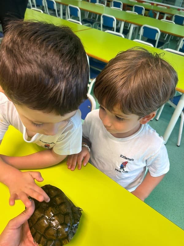 Externato Pica-Pau entrega bens recolhidos ao Parque dos Bichos  — foto 9