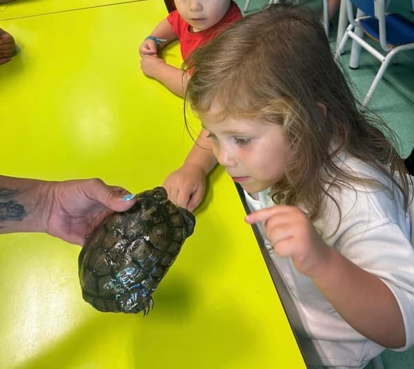Externato Pica-Pau entrega bens recolhidos ao Parque dos Bichos  — foto 10